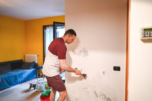 Trusted Markham, IL Mold Remediation Experts